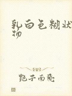 乳白色糊状分泌物