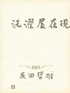 洗濯屋在现观看封面