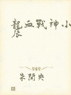 龙血战神小说龙辰
