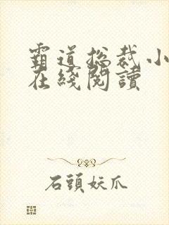 霸道总裁小娇妻在线阅读