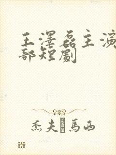 王泽磊主演的全部短剧