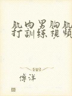 肌肉男胸肌抗击打训练视频 视频