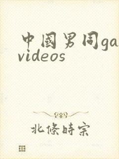 中国男同gayvideos