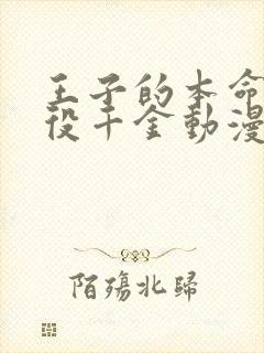 王子的本命是恶役千金动漫免费看全集