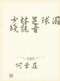 少林足球国语在线观看