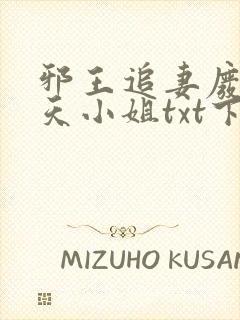 邪王追妻废材逆天小姐txt下载封面