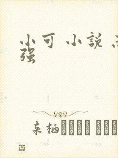 小可 小说 志强