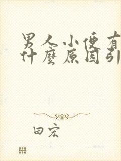 男人小便有血是什么原因引起的