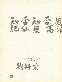 知否知否应是绿肥红瘦 高清下载