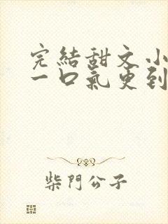 完结甜文小说 一口气更到大结局