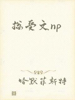 总受文np