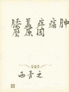 膝盖疼痛肿痛什么原因