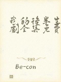 我的后半生电视剧全集免费观看封面