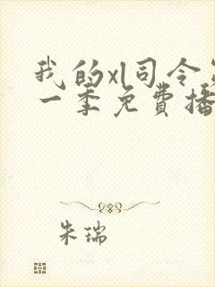 我的xl司令第一季免费播放封面