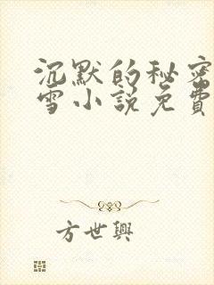 沉默的秘密宋小雪小说免费阅读