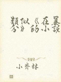 类似《在暴雪时分》的小说