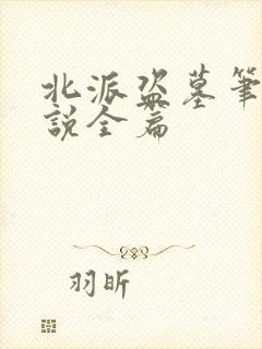 北派盗墓笔记小说全篇