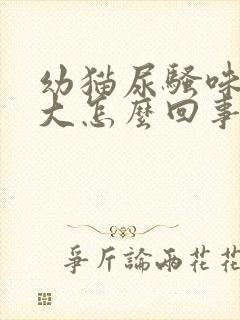 幼猫尿骚味特别大怎么回事