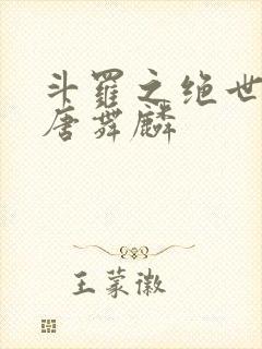 斗罗之绝世龙王唐舞麟