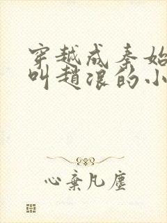 穿越成秦始皇的叫赵浪的小说