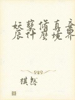 妖孽修真弃少叶辰什么境界