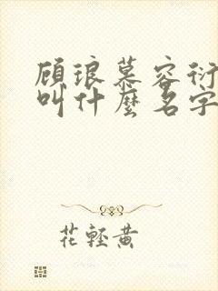 顾琅慕容衍小说叫什么名字