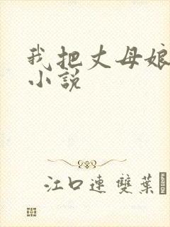 我把丈母娘操了小说