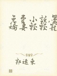 免费小说,墨少娇妻轻轻宠爱