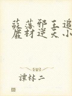 苏落邪王追妻:废材逆天小姐