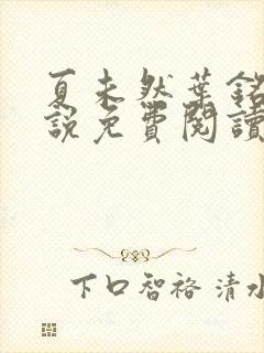 夏未然叶铭恩小说免费阅读最新章节封面