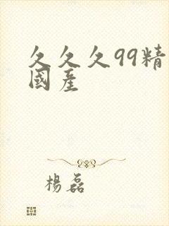 久久久99精品国产