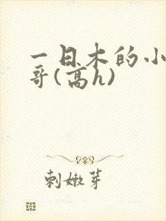 一日木的小说哥哥(高h)