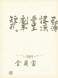 短剧爱恨已逝许我半生凉薄在线观看