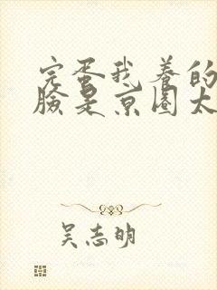 完蛋我养的小白脸是京圈太子爷阅读