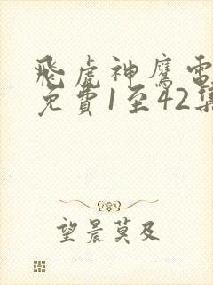 飞虎神鹰电视剧免费1至42集