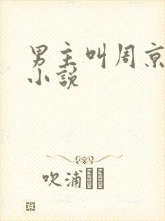 男主叫周京泽的小说封面