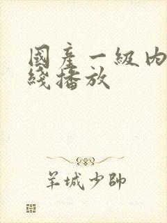 国产一级内射在线播放封面