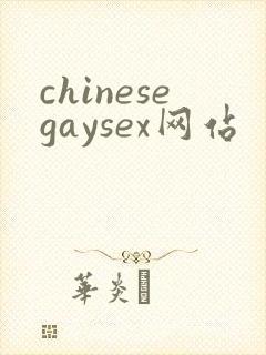 chinesegaysex网站封面