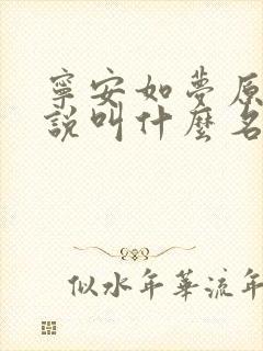 宁安如梦原著小说叫什么名字