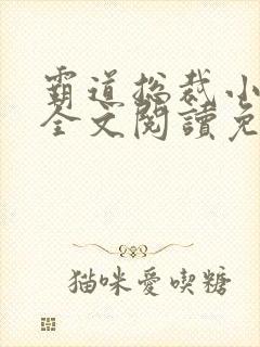 霸道总裁小娇妻全文阅读免费