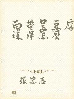 白带呈豆腐渣阴道痒怎么