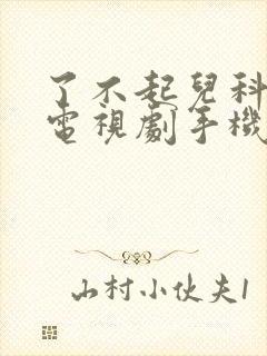 了不起儿科医生电视剧手机免费观看封面