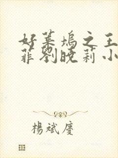 好莱坞之王刘亦菲刘晓莉小说