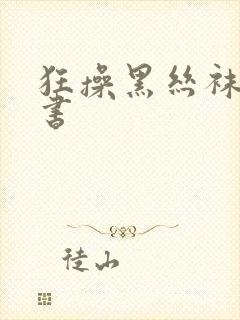 狂操黑丝袜女秘书