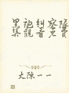 黑袍纠察队 全集观看免费