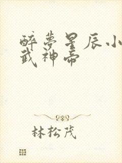 醉梦星辰小说天武神帝