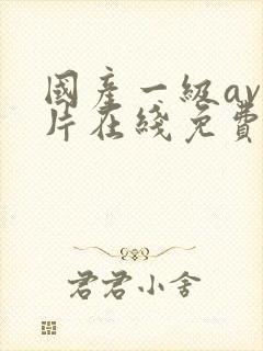 国产一级av影片在线免费观看