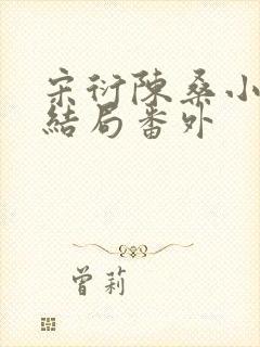 宋衍陈桑小说大结局番外封面