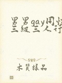 男男gay同性三级三人行