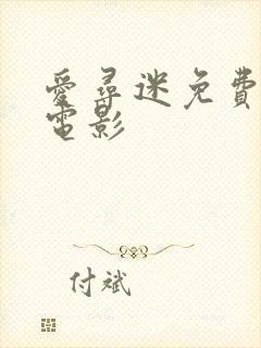 爱寻迷免费完整电影